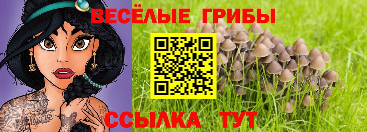 Галлюциногенные грибы GOLDEN TEACHER  Вход с VPN  Лангепас 